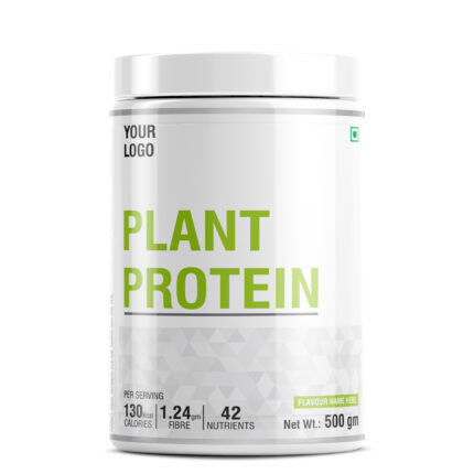 PLANT PROTEIN (Overall Nourishment of the Body)